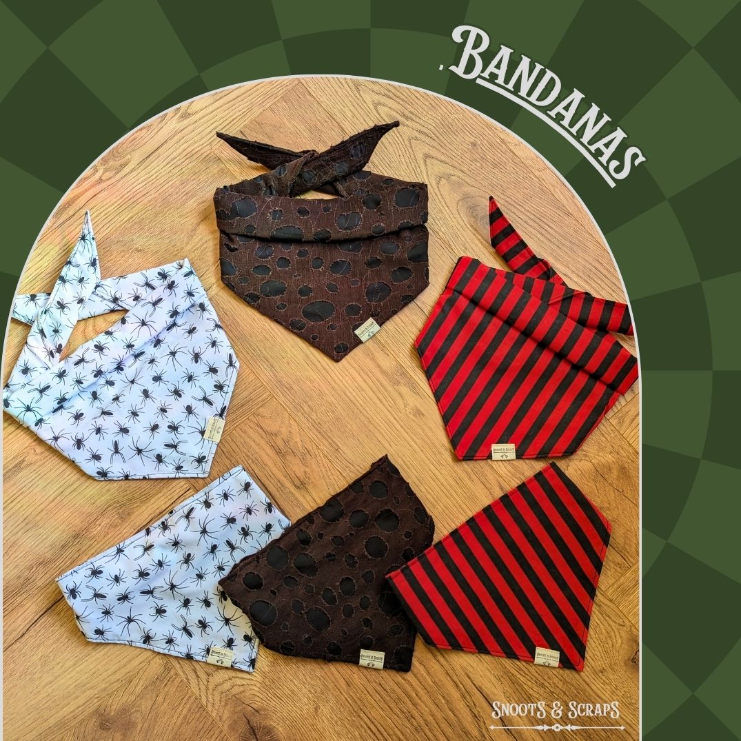 All Dog Bandanas