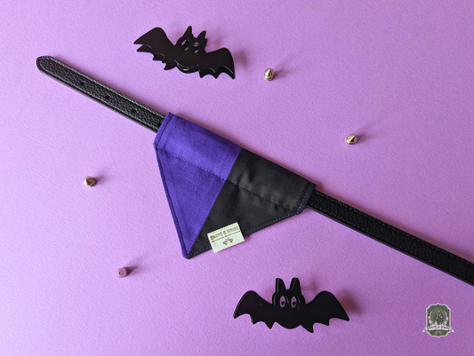 Purple and black slide on pet bandana on a black collar on a purple background with black bat decorations.