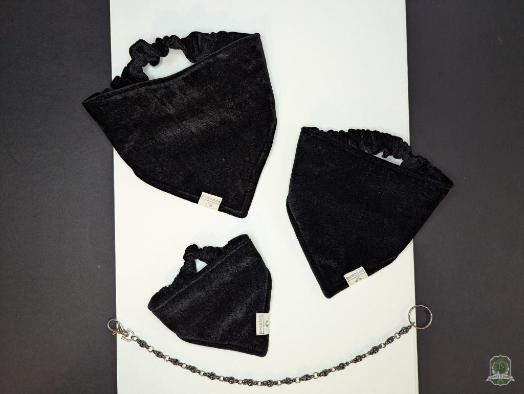 Black Velvet | Elastic Dog Bandana
