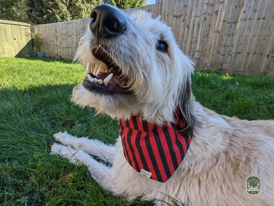 Black & Red Stripes | Tie On Bandana