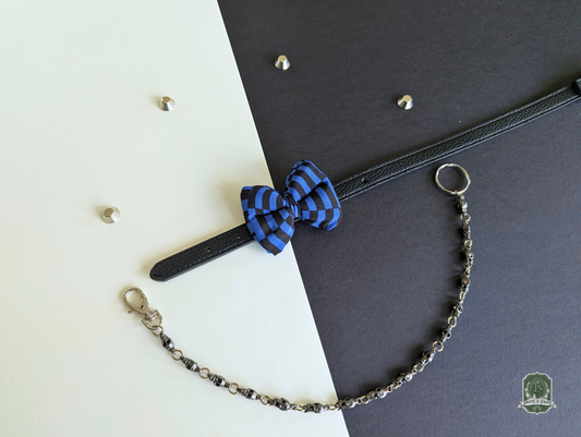 Blue and black Checkerboard pet bow tie on a black leather collar
