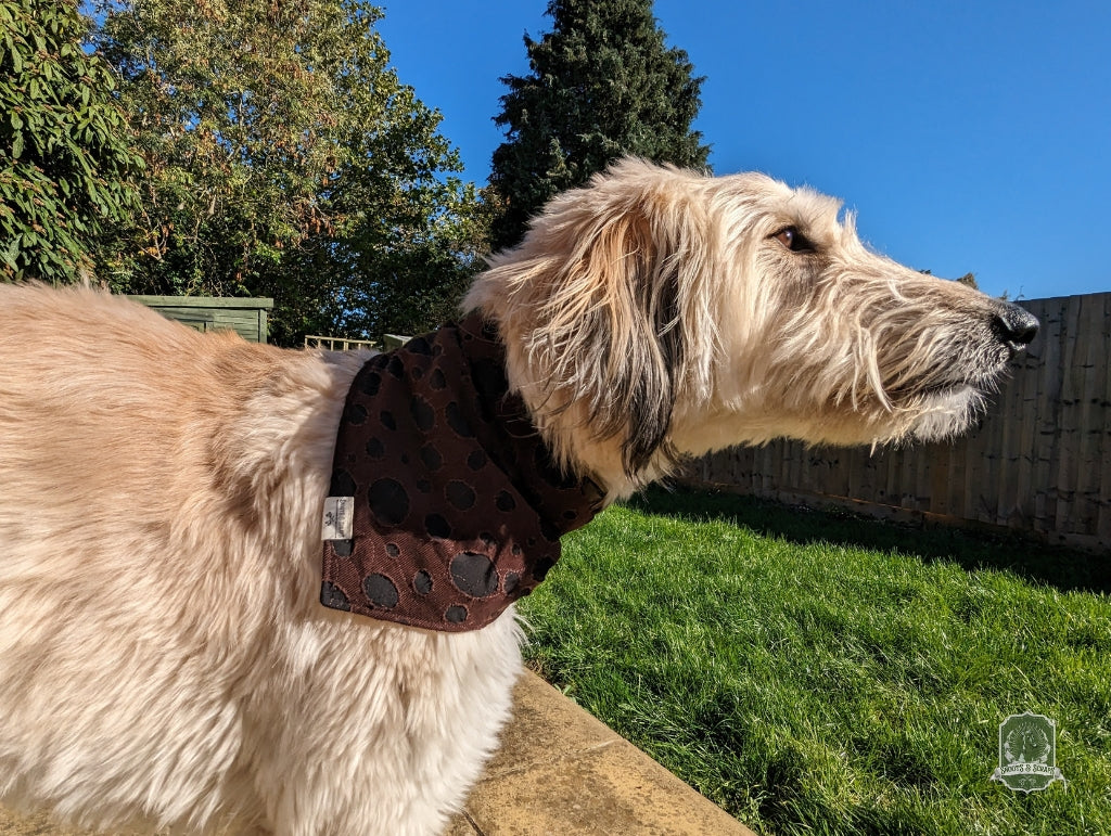 Ragged Brown | Tie On Bandana