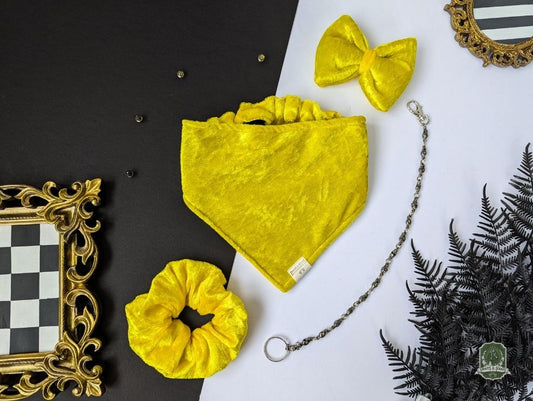 Golden Velvet Bundle | Elastic Dog Bandana + Bow Tie + Free Hair Scrunchie