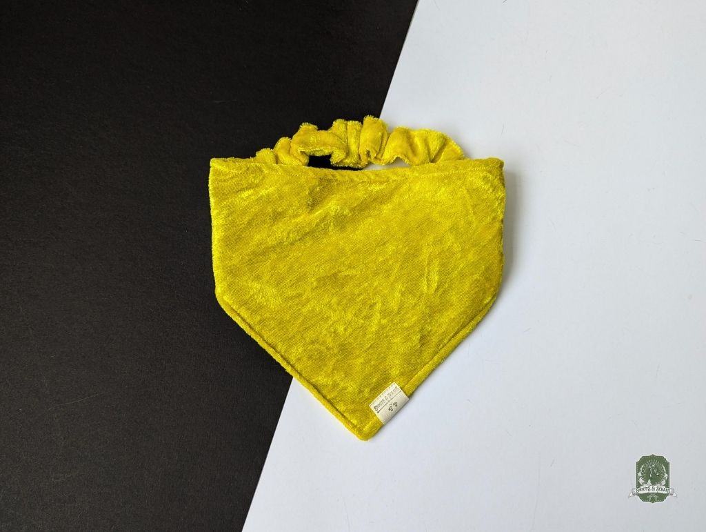 Golden Velvet Bundle | Elastic Dog Bandana + Bow Tie + Free Hair Scrunchie
