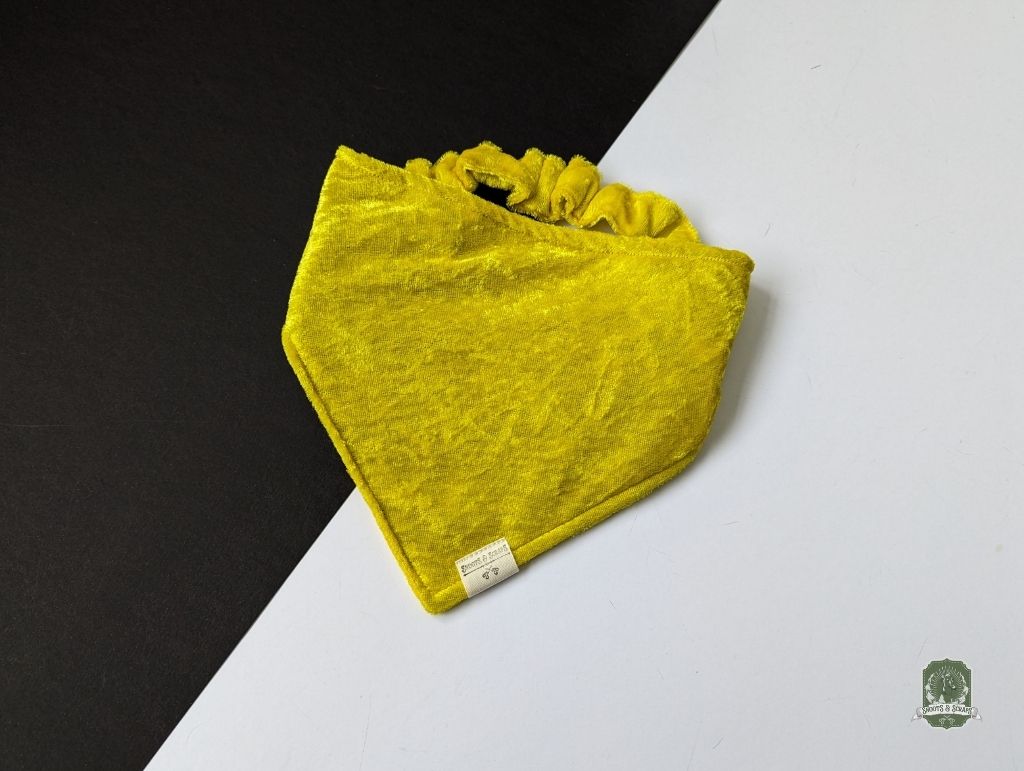 Golden Velvet Bundle | Elastic Dog Bandana + Bow Tie + Free Hair Scrunchie