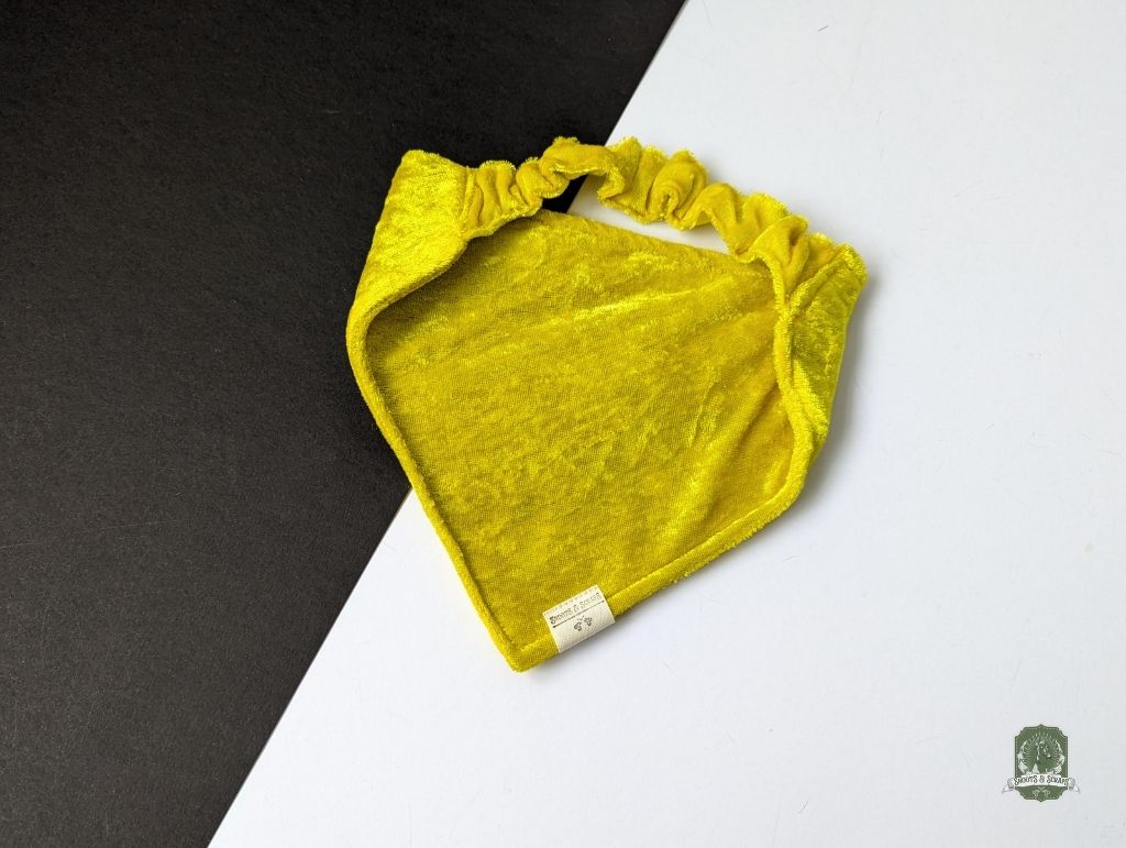 Golden Velvet Bundle | Elastic Dog Bandana + Bow Tie + Free Hair Scrunchie
