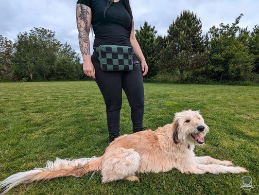 Snoots On The Go | Upcycled Dog Walking Bag | Green & Black Patchwork Checkerboard