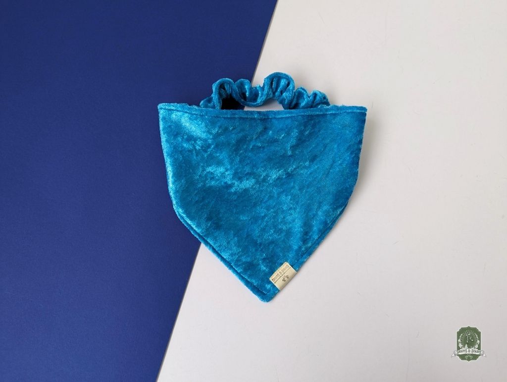 Ice Blue Velvet | Elastic Dog Bandana
