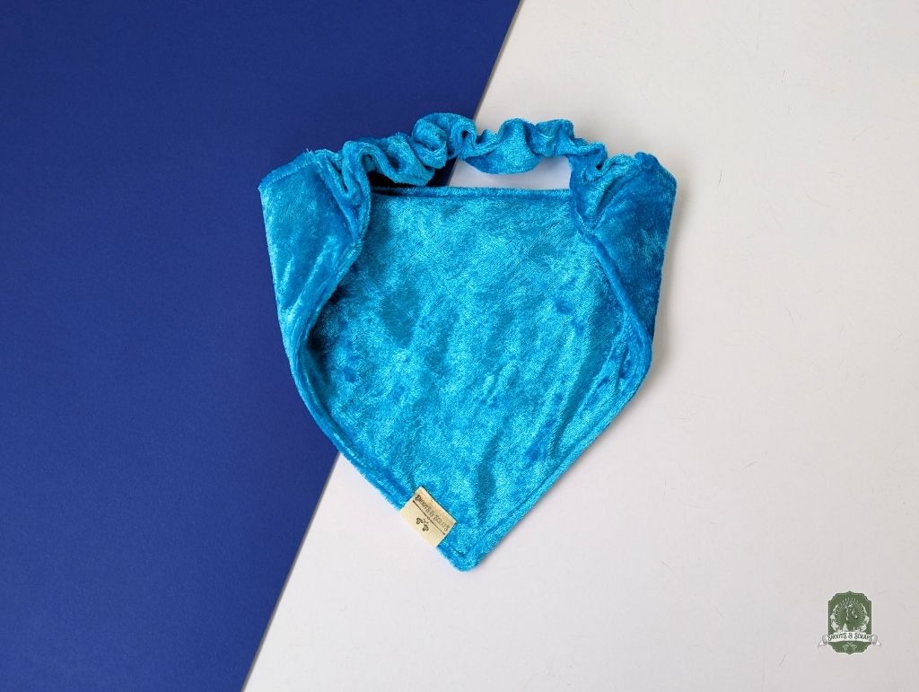 Ice Blue Velvet | Elastic Dog Bandana