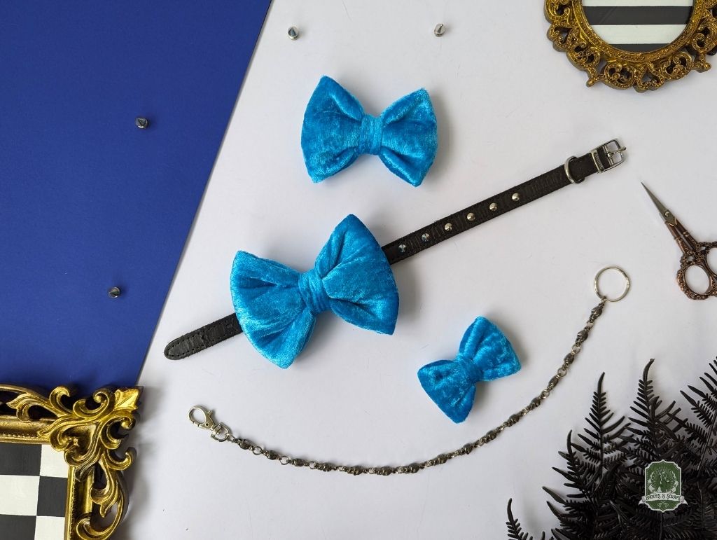 multi sizes of bright blue bowtie displayed on a black collar with studs