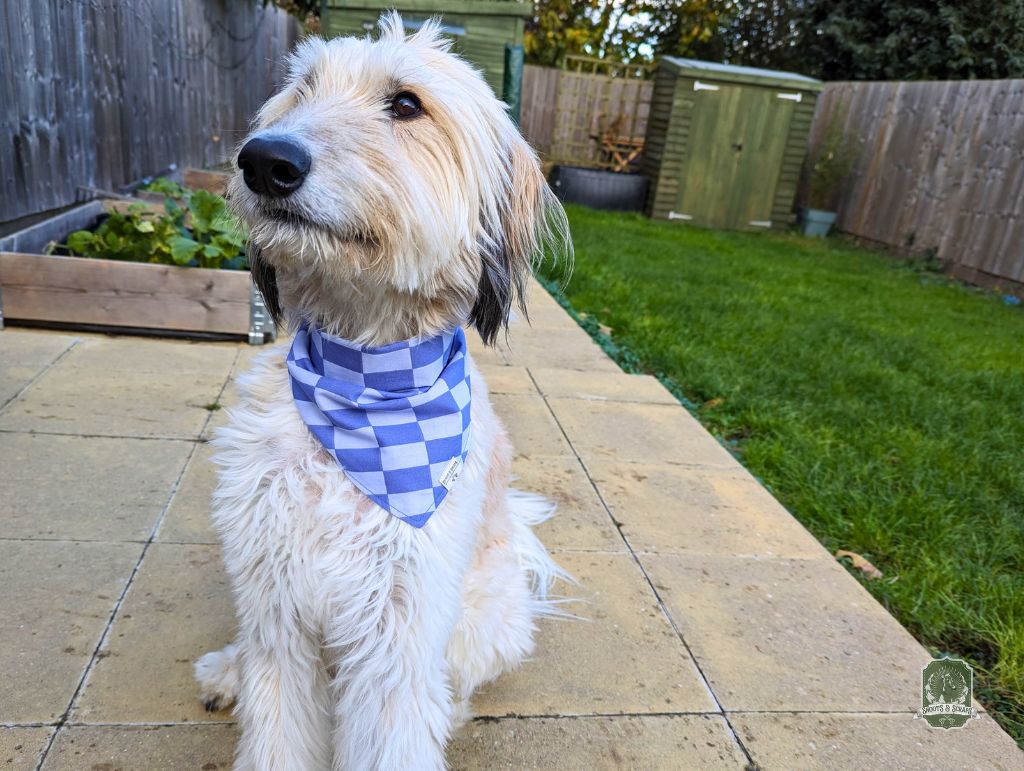 Blueberry & Pastel Blue Checkered | Tie On Bandana