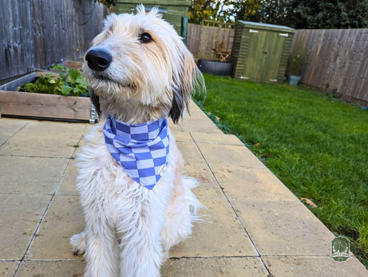 Blueberry & Pastel Blue Checkered | Tie On Bandana