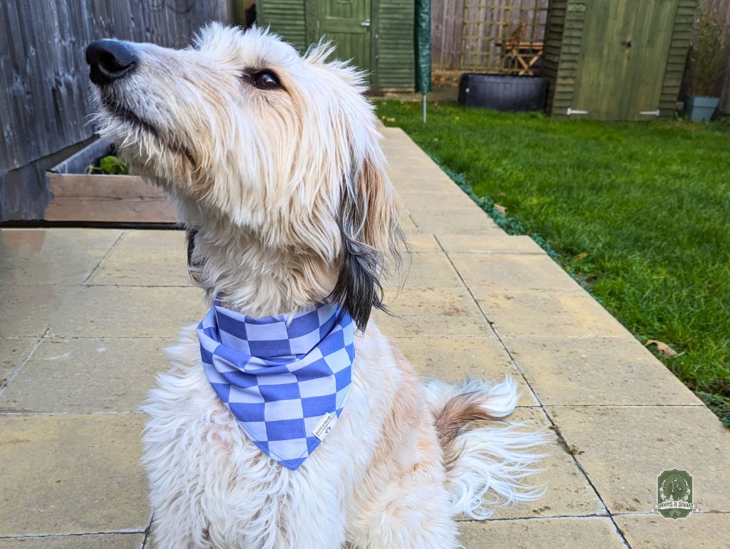 Blueberry & Pastel Blue Checkered | Tie On Bandana