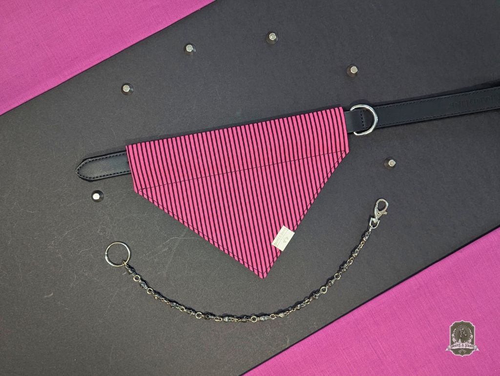 Pink striped dog bandana on a black leather collar, with a chain on a gray and pink background