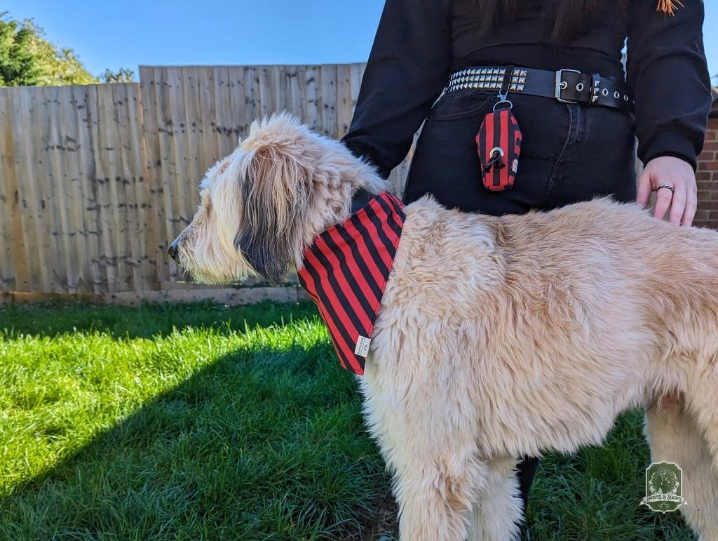 Black & Red Stripes Matching Set | Elastic Dog Bandana + Bow Tie + Poo Bag Holder | Dog Essentials Bundle
