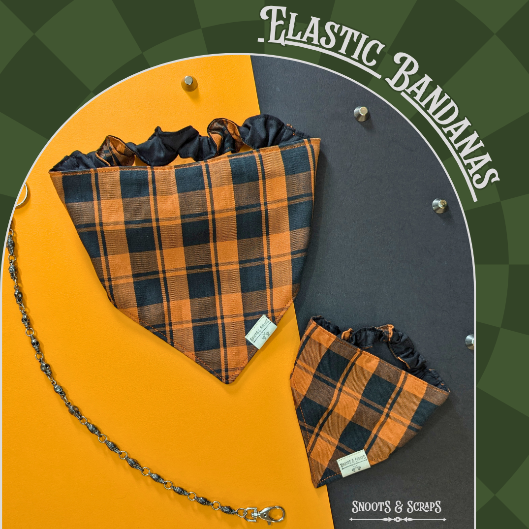 Elastic Dog Bandanas