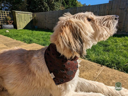 Ragged Brown | Elastic Dog Bandana