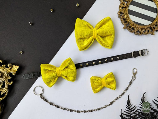 Golden Velvet | Pet Bow Tie