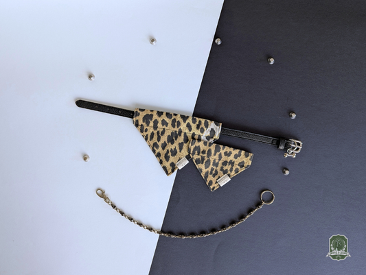 Leopard print pet bandanas displayed on a black collar on a two-tone background