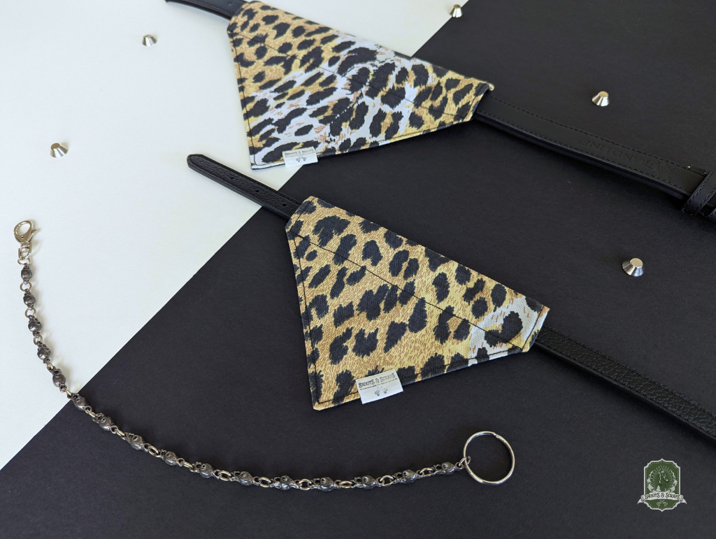 Leopard print pet bandanas styled on a black collar on a two-tone background