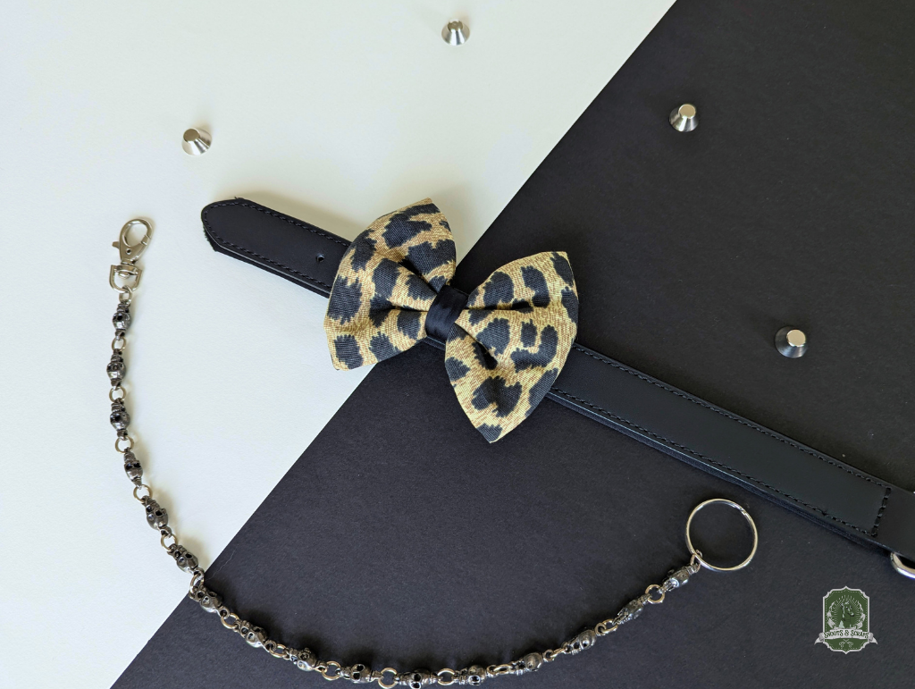Leopard print dog bow tie with a chain on a black background