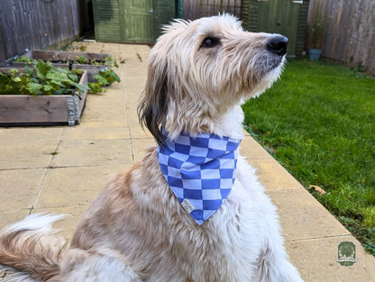 Blueberry & Pastel Blue Checkered | Elastic Dog Bandana