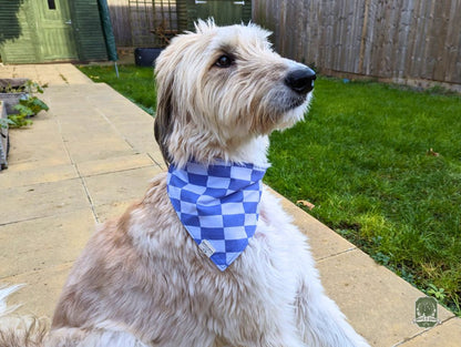 Blueberry & Pastel Blue Checkered | Elastic Dog Bandana