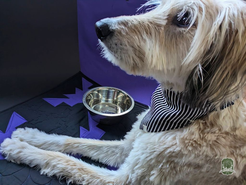 It's Purple Bats | Quilted Pet Bowl Placemats!
