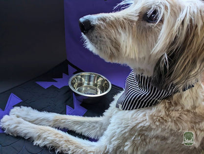 It's Purple Bats | Quilted Pet Bowl Placemats!