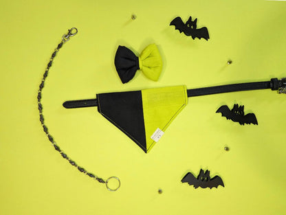 Halloween-themed pet accessory set on a yellow background with black bats.