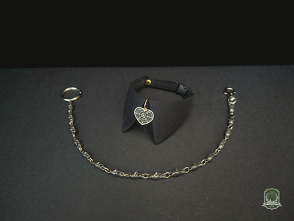 Black Heart-Shaped Spiderwebs | Cat Collar with Charm