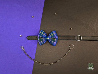 Violet Tartan | Pet Bow Tie
